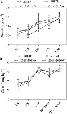 Improvement of P Use Efficiency and P Balance of Rice–Wheat Rotation System According to the Long-Term Field Experiments in the Taihu Lake Basin